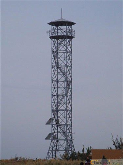 如何選擇森林坛海角官网首页登录入口？