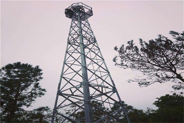 10米坛海角官网首页登录入口價格哪家好？